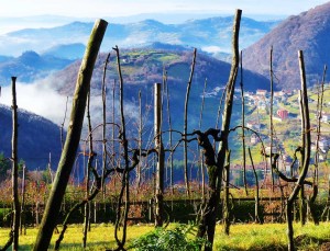 paesaggio rurale a Caluga