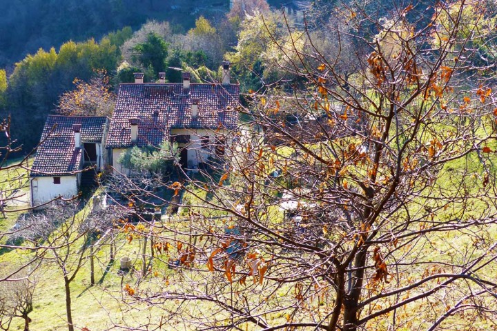 Monte Campolongo – (Altopiano di Asiago – Valbrenta – VI)