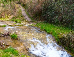 torrente Silan e strada lastricata