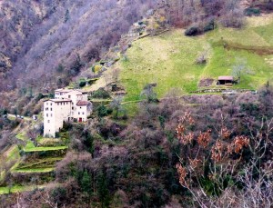 alta via tabacco