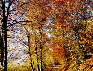 autunno