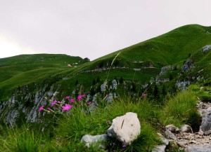 garofanini e, in fondo, il rif. G. Dal Piaz